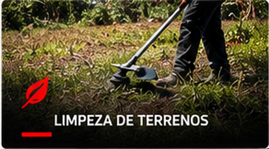 Limpeza de terrenos